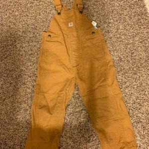 Carhartt overalls. Insulated.